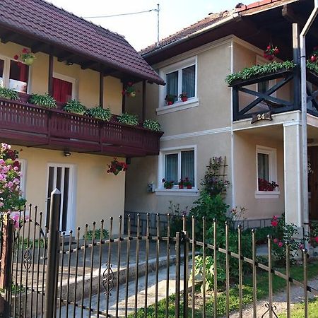 בית הארחה בראן 	Casa Georgeta מראה חיצוני תמונה