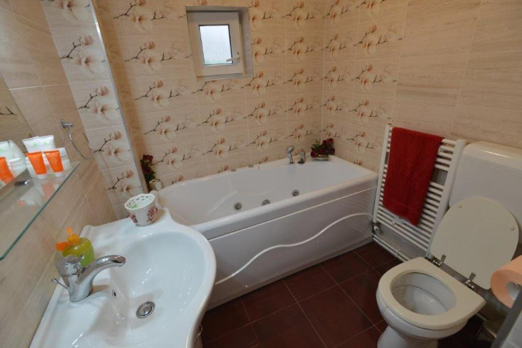 בית הארחה בראן 	Casa Georgeta מראה חיצוני תמונה