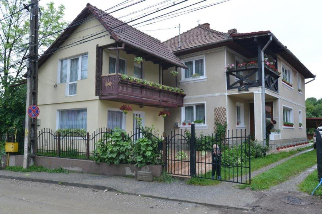 בית הארחה בראן 	Casa Georgeta מראה חיצוני תמונה