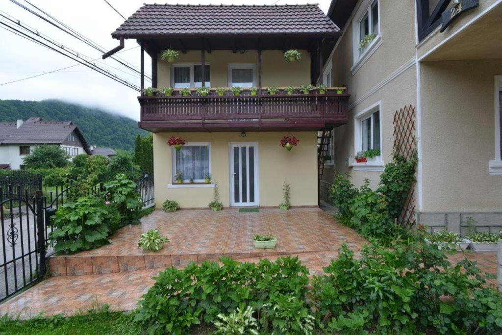 בית הארחה בראן 	Casa Georgeta מראה חיצוני תמונה