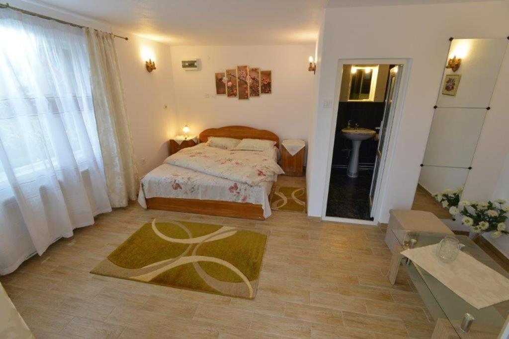 בית הארחה בראן 	Casa Georgeta מראה חיצוני תמונה