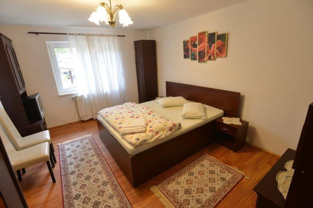 בית הארחה בראן 	Casa Georgeta מראה חיצוני תמונה