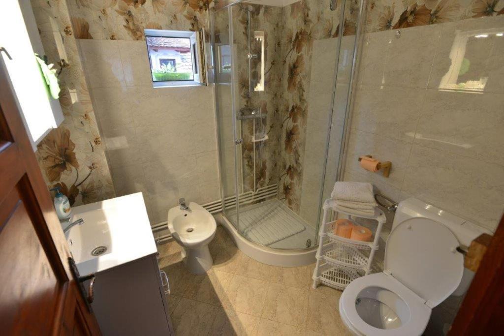 בית הארחה בראן 	Casa Georgeta מראה חיצוני תמונה