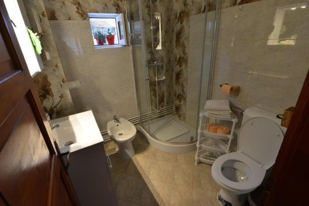 בית הארחה בראן 	Casa Georgeta מראה חיצוני תמונה