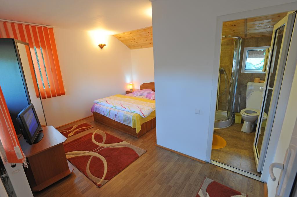 בית הארחה בראן 	Casa Georgeta מראה חיצוני תמונה