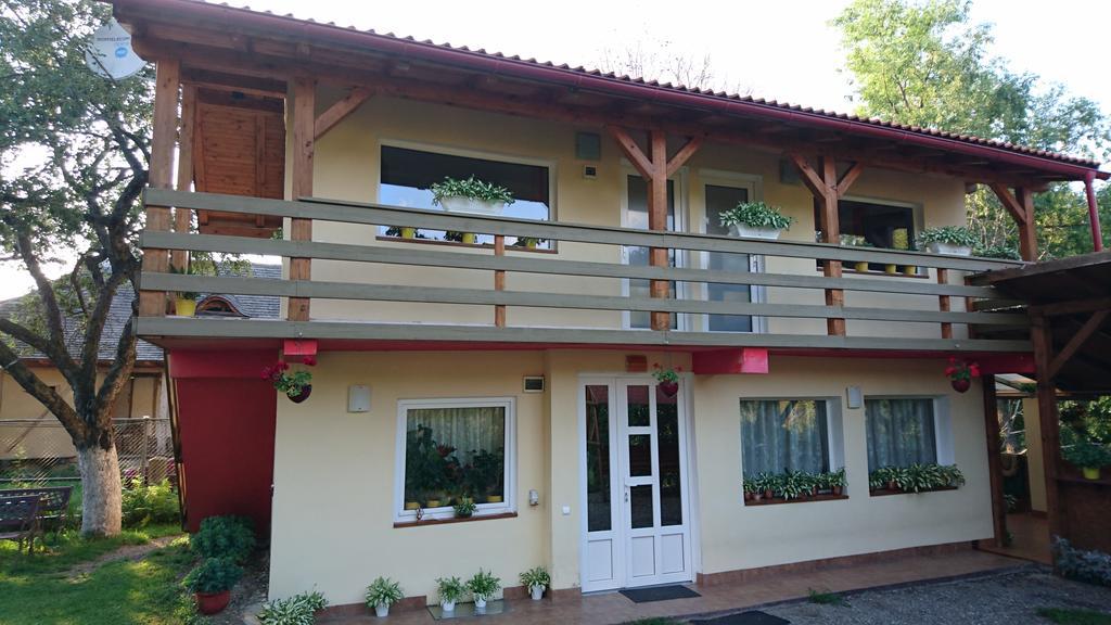 בית הארחה בראן 	Casa Georgeta מראה חיצוני תמונה